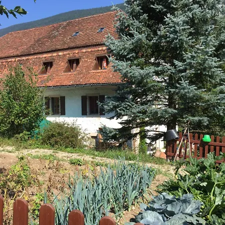 Chez Dodo 2534 Orvin Le Foncet Bed & Breakfast *