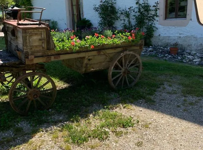 Bed & Breakfast Chez Dodo 2534 Orvin Le Foncet