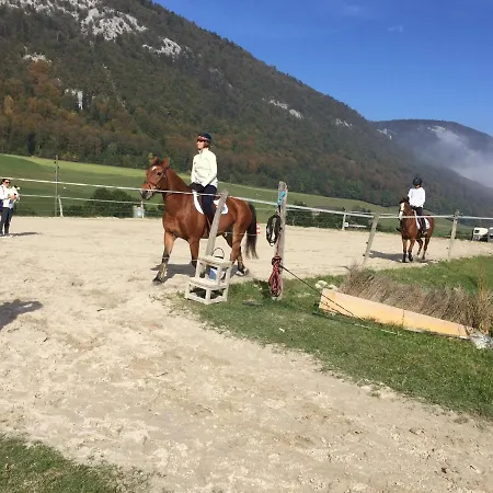 Chez Dodo 2534 Orvin Le Foncet * Evilard