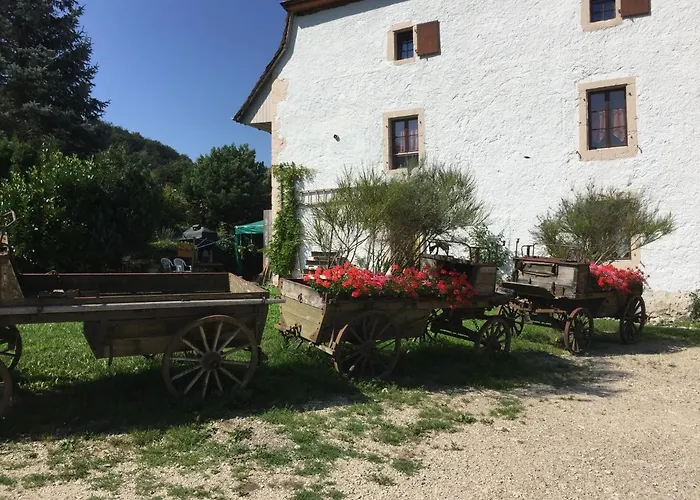 Chez Dodo 2534 Orvin Le Foncet Bed & Breakfast *