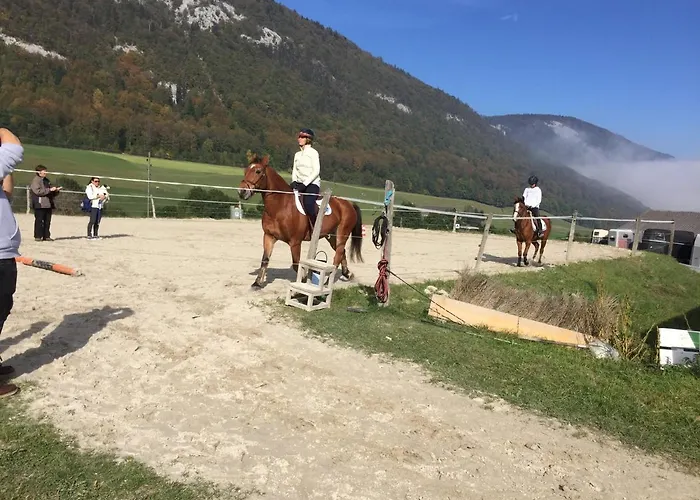 Chez Dodo 2534 Orvin Le Foncet * Evilard